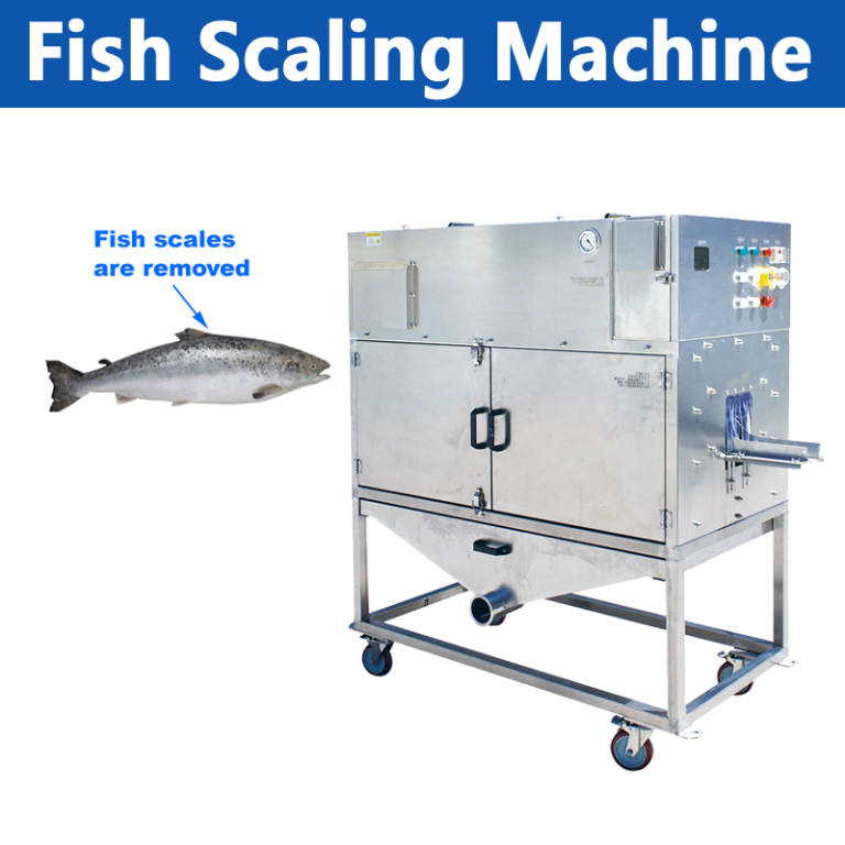 fish descaling machine, descaling machine, fish scalers, Factory